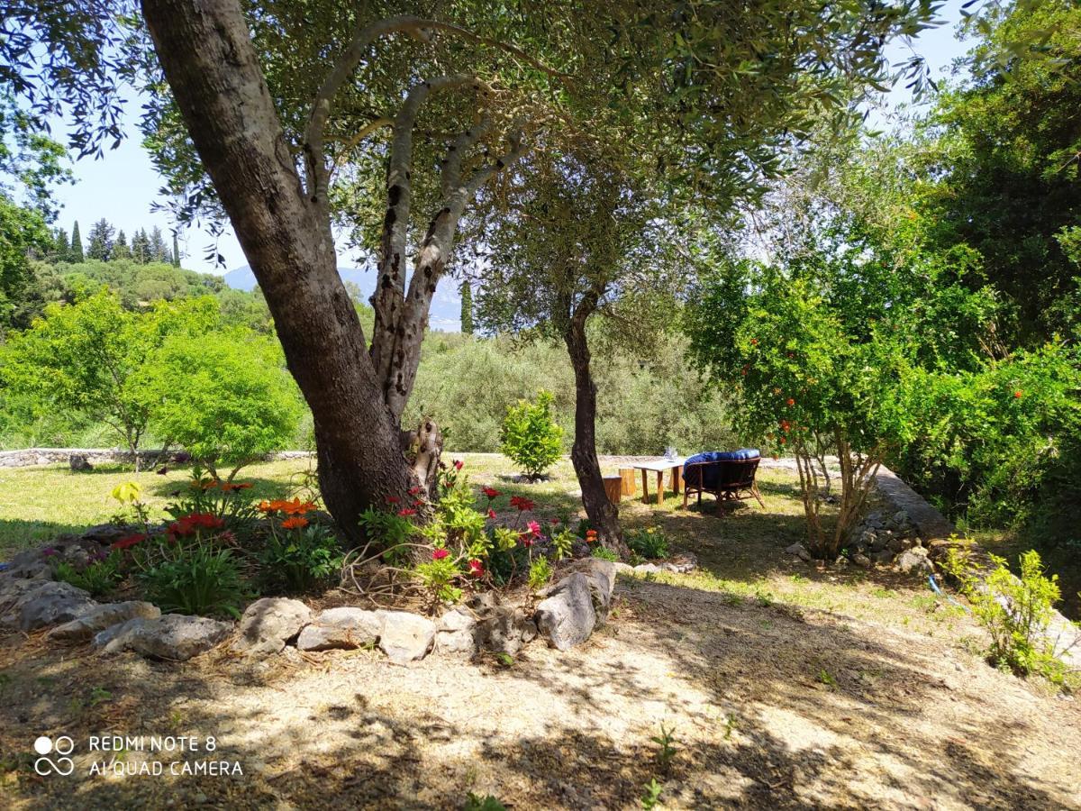 Corfu Villa Galini Potamós المظهر الخارجي الصورة