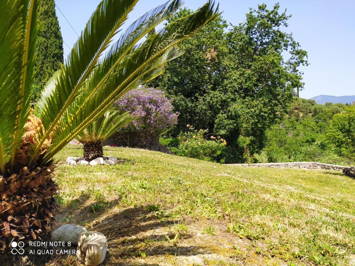 Corfu Villa Galini Potamós المظهر الخارجي الصورة