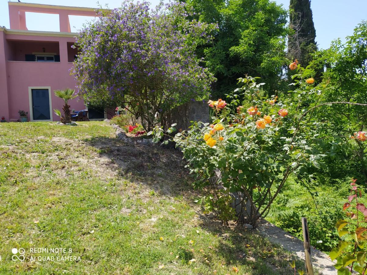 Corfu Villa Galini Potamós المظهر الخارجي الصورة